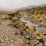 Virginia Faces Ongoing Drought: Water Supplies and Agriculture Under Strain