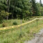 Two Arrested in Virginia Murder-for-Hire Plot Linked to Fatal I-295 Crash