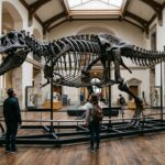 Record Tyrannosaurus Rex Fossil Sells for $50 Million at New York Auction