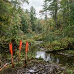 Public Comment Deadline Approaches for Project Skye Wetlands Impact in Virginia